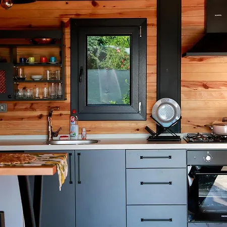 Karayel Koycegiz Villa *