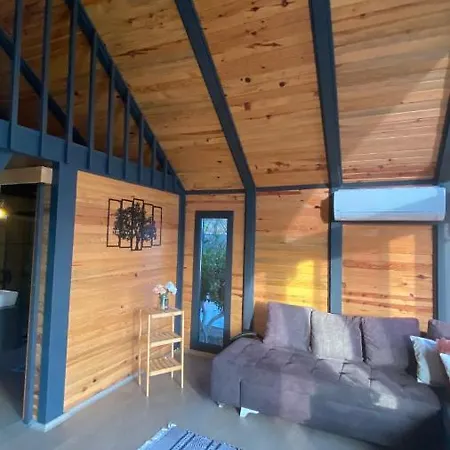 Villa Karayel Koycegiz *